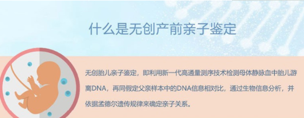 怀孕期间安阳怎么做胎儿亲子鉴定,在安阳怀孕期间做亲子鉴定多少钱