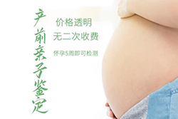 怀孕期间安阳怎么做胎儿亲子鉴定，在安阳怀孕期间做亲子鉴定准确吗